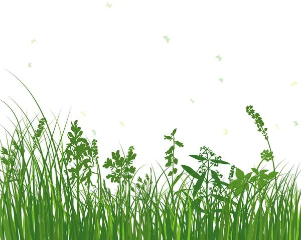 Herbe Verte Des Prairies Printanières Plantes Couleur Fraîche Herbe Croissance — Image vectorielle