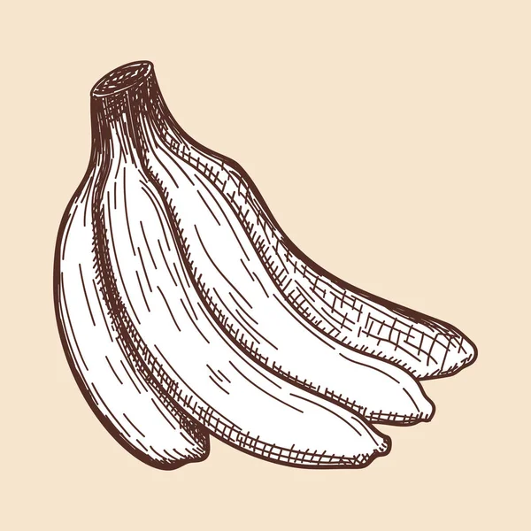 Icon Banana Ručně Kreslený Náčrt Retro Vintage Design Vektorová Ilustrace — Stockový vektor