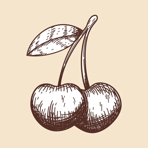 Icono Cereza Boceto Dibujado Mano Diseño Retro Vintage Ilustración Vectorial — Archivo Imágenes Vectoriales