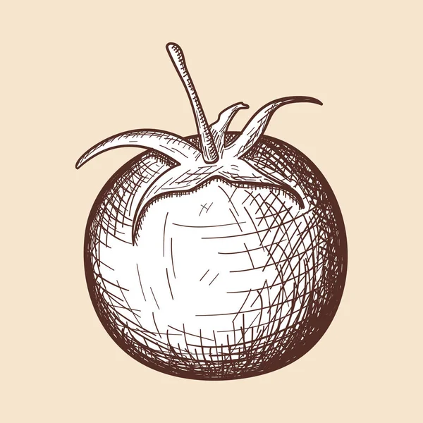 Tomaten Ikone Handgezeichnetes Skizzendesign Vektorillustration — Stockvektor