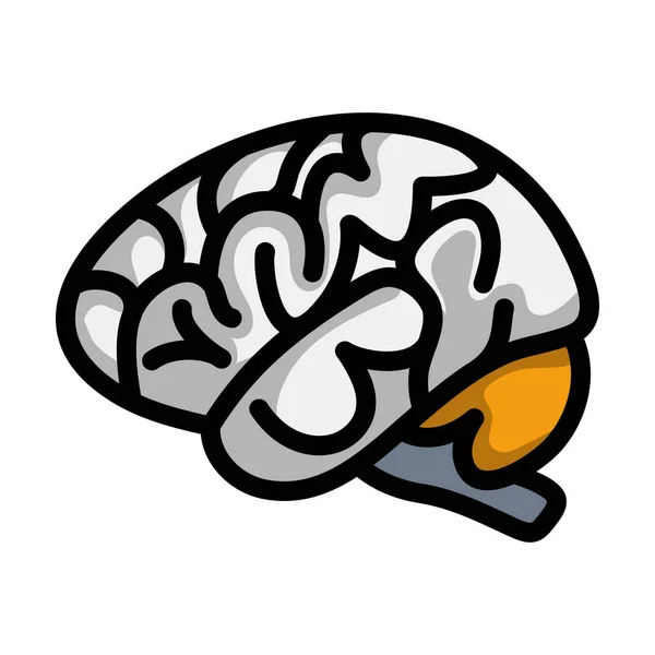 Brain Icon Editable Bold Outline Color Fill Design Vector Illustration — Stock Vector