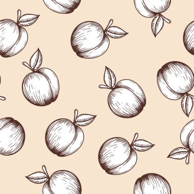 Dikenli Şeftali deseni. El çizimi çizimi. Retro Vintage Tasarım. Vektör İllüstrasyonu.