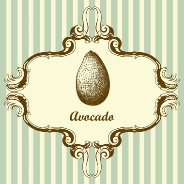 Avocado Simgesi. El Çizimi Tasarımı. Vektör İllüstrasyonu.
