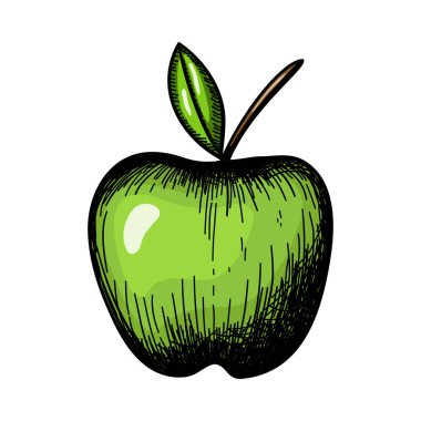 Elma Simgesi. El Çizimi Tasarımı. Vektör İllüstrasyonu.