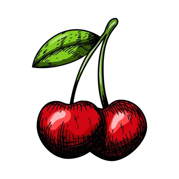 Icon Cherry Hand Drawn Sketch Design Vector Illustration — Stock Vector
