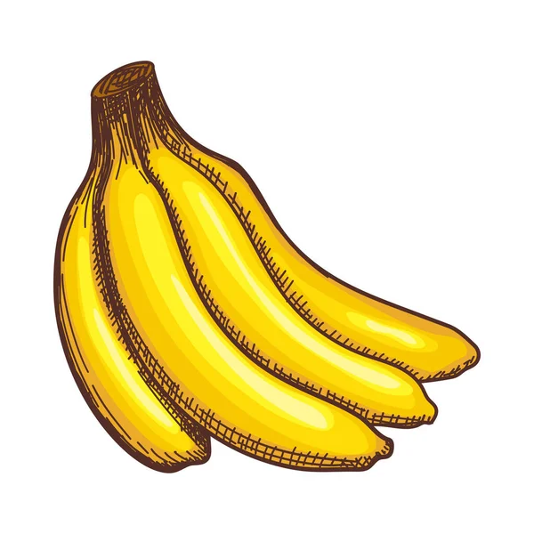 Icon Banana Ručně Kreslený Náčrtek Vektorová Ilustrace — Stockový vektor