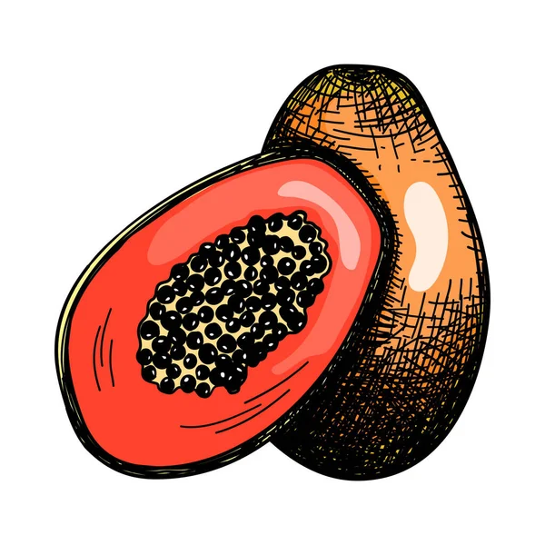 Ikone Von Papaya Handgezeichnetes Skizzendesign Vektorillustration — Stockvektor