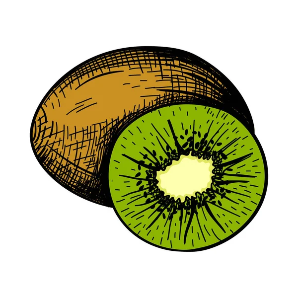 Ikone Der Kiwi Handgezeichnetes Skizzendesign Vektorillustration — Stockvektor