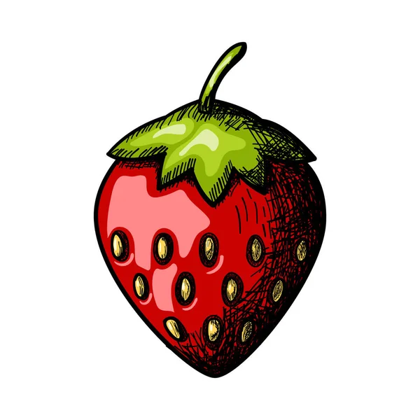 Icon Strawberry Hand Drawn Sketch Design Vector Illustration — Stock Vector