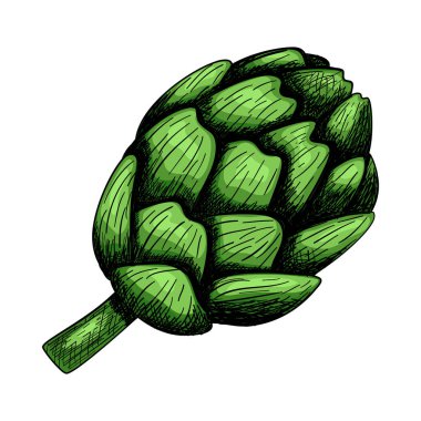 Enginar Simgesi. El Çizimi Tasarımı. Vektör İllüstrasyonu.