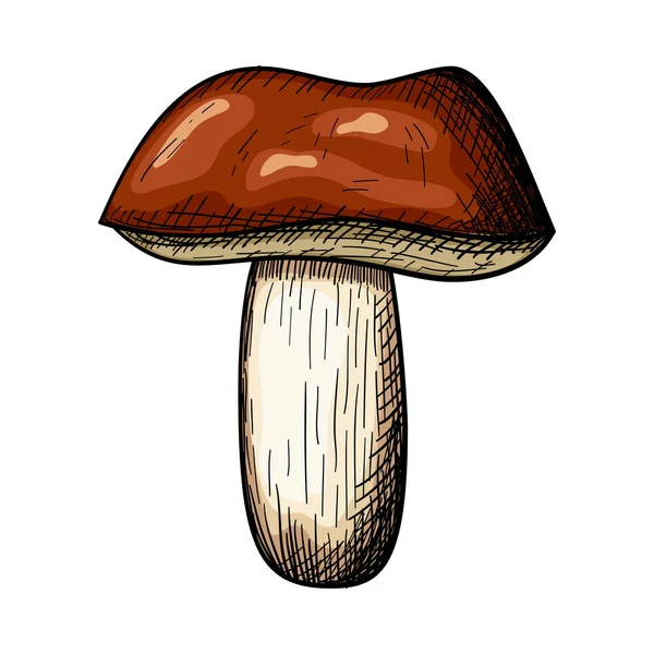 Icona Dei Funghi Disegno Schizzo Disegnato Mano Illustrazione Vettoriale — Vettoriale Stock