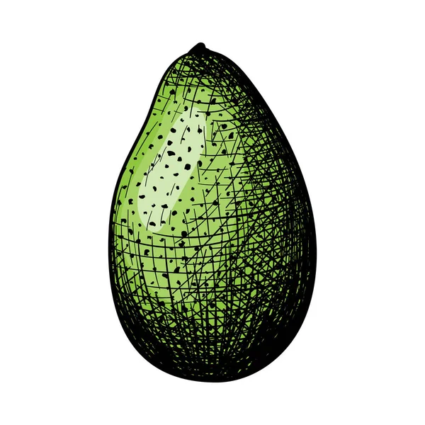 Icono Aguacate Diseño Boceto Dibujado Mano Ilustración Vectorial — Vector de stock