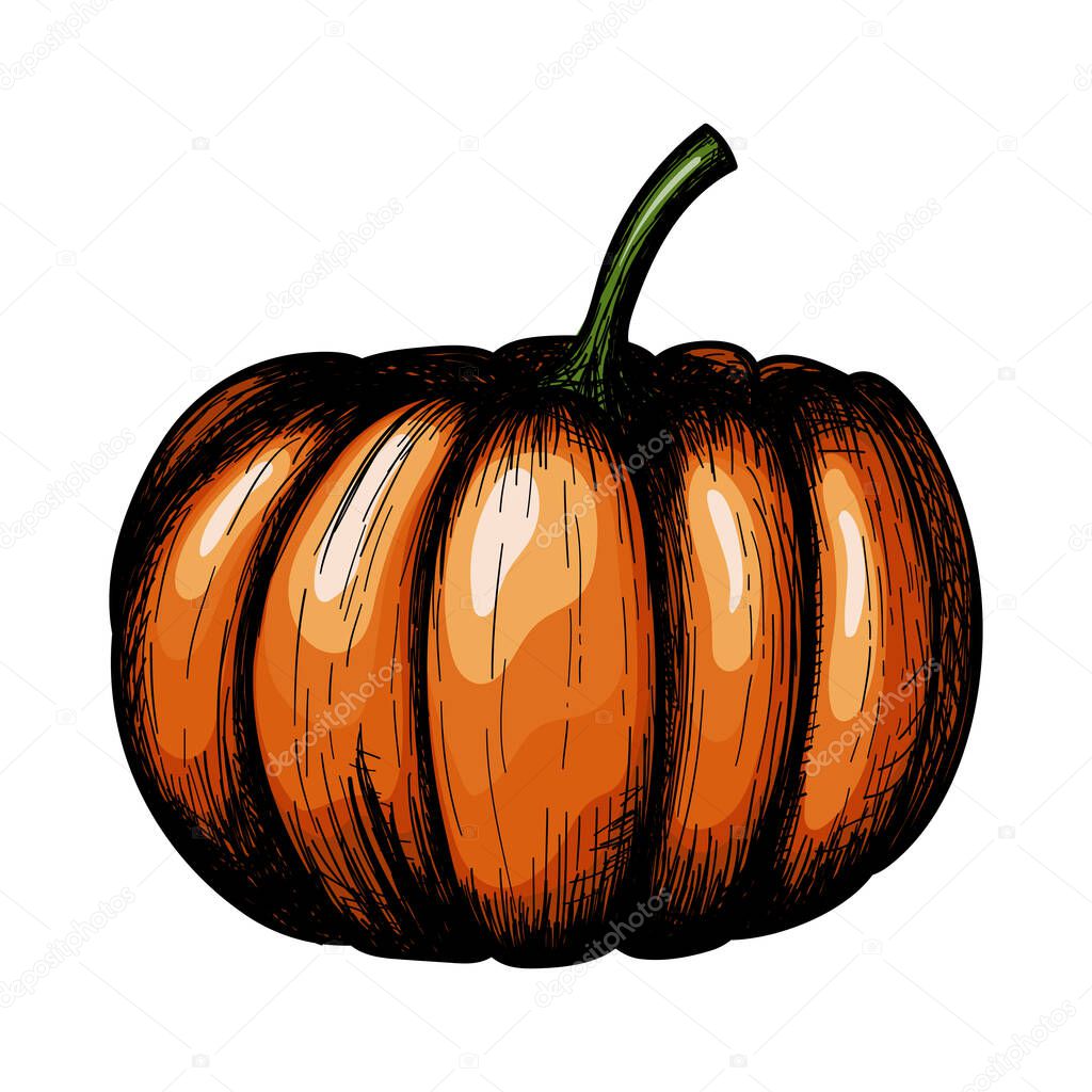 Pumpkin Icon. Hand Drawn Sketch Design. Vector Illustration.