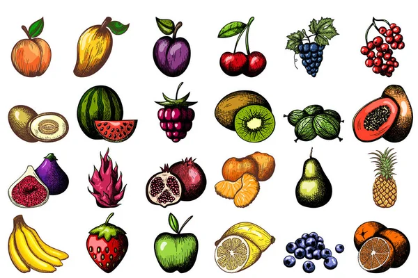 Frutta Disegnato Mano Schizzo Retrò Design Vintage Illustrazione Vettoriale — Vettoriale Stock