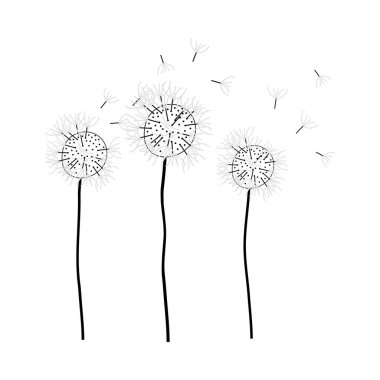 Doodle sketch dandelion with color fill. Simple design suitable for making greeting cards. Vector illustration.