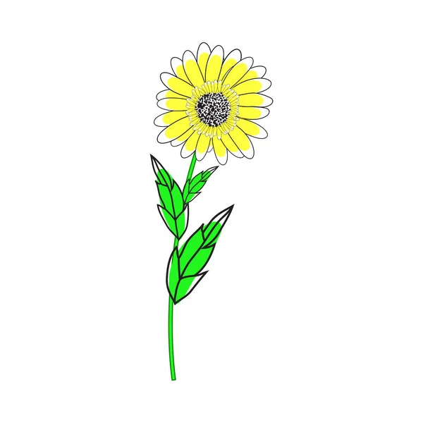 Doodle Sketch Sunflower Color Fill Simple Design Suitable Making Greeting — Stok Vektör