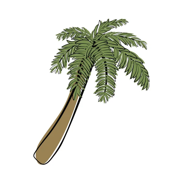 Doodle Esboço Palmeira Com Preenchimento Cor Design Simples Adequado Para — Vetor de Stock