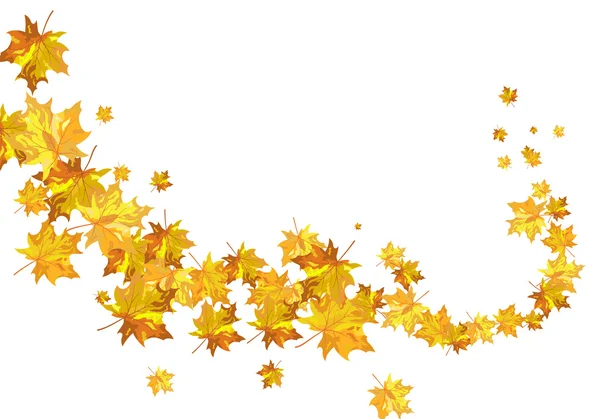 Feuilles d'érable d'automne — Image vectorielle