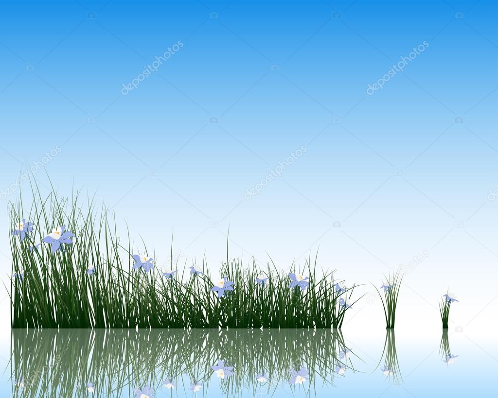 Flowers with grass on water