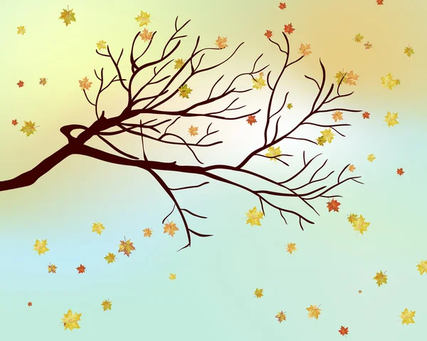 Hojas de arce de otoño — Vector de stock