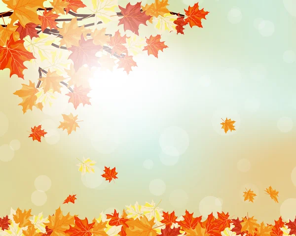 Outono folhas de bordo —  Vetores de Stock