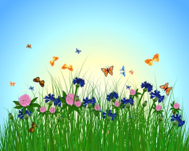 Meadow color background with flowers.