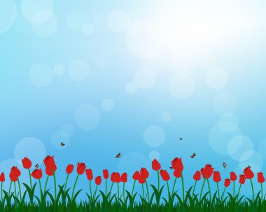 Meadow color background with sun