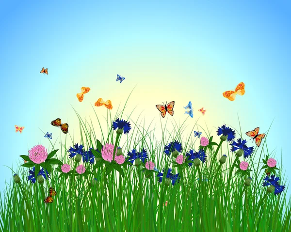 Prairie fond de couleur avec des fleurs . — Image vectorielle