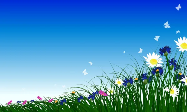 Meadow color background with flowers. — Stockvector