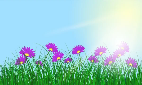 Fondo color pradera con flores . — Vector de stock