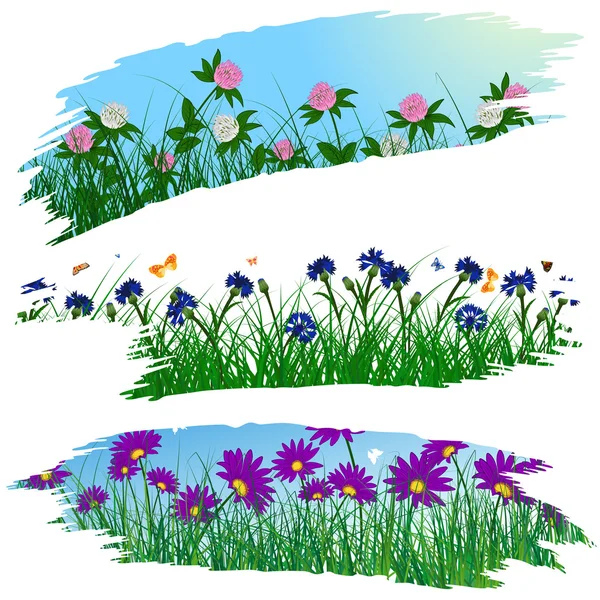 Ecsetvonás virágok keretek csoportja — Stock Vector