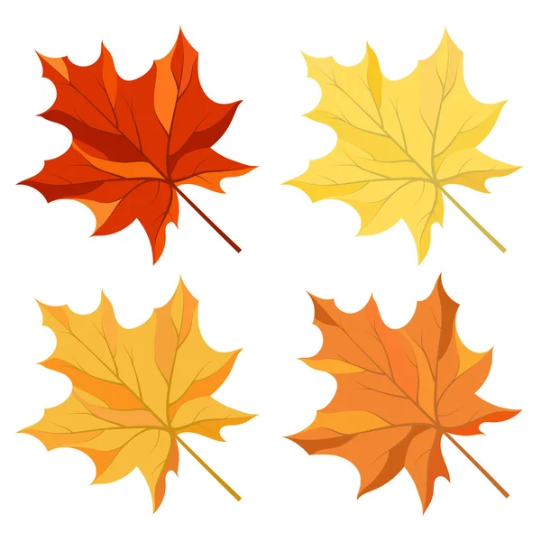 Maple leaves set — Stock Vector
