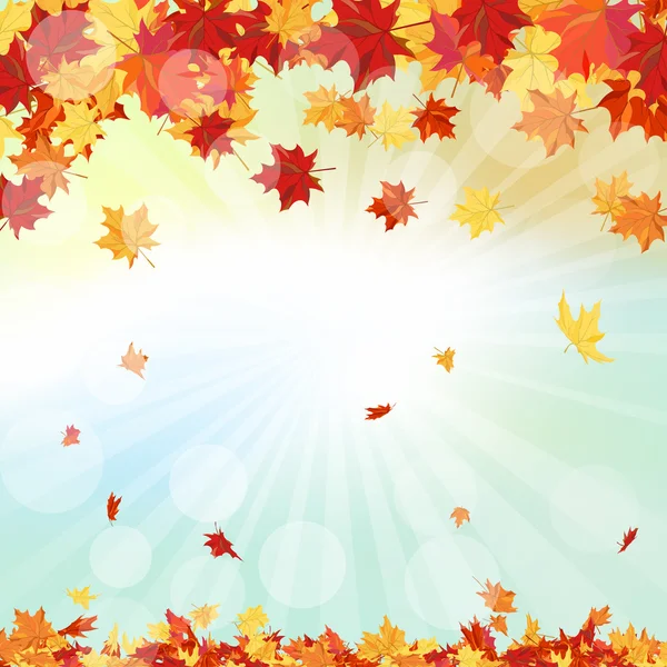 Frame With Falling Maple Leaves — Stock Vector