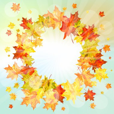 Düşen akçaağaç sonbahar çerçeveyle bırakır