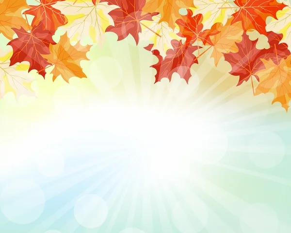 Marco de otoño con hojas de arce que caen — Vector de stock