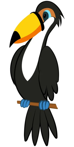 Divertidos dibujos animados Toucan — Vector de stock