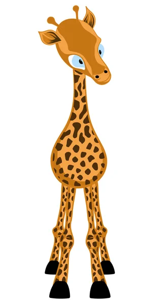 Lustige Cartoon-Giraffe — Stockvektor