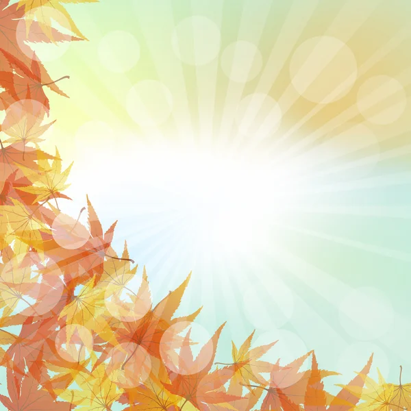 Autumn  Frame With Falling  Maple Leaves — Stock Vector