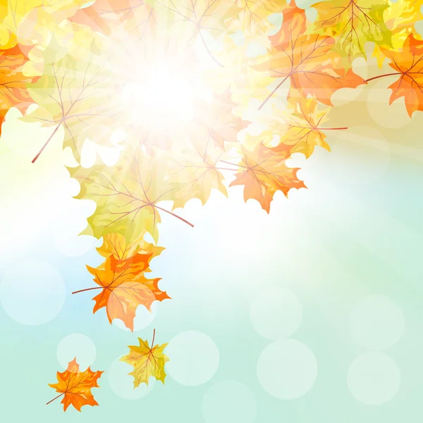 Liście jesienią ramki z spadające klon — Wektor stockowy