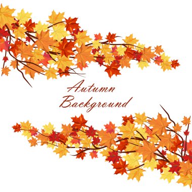 Akçaağaç yapraklı sonbahar arkaplanı