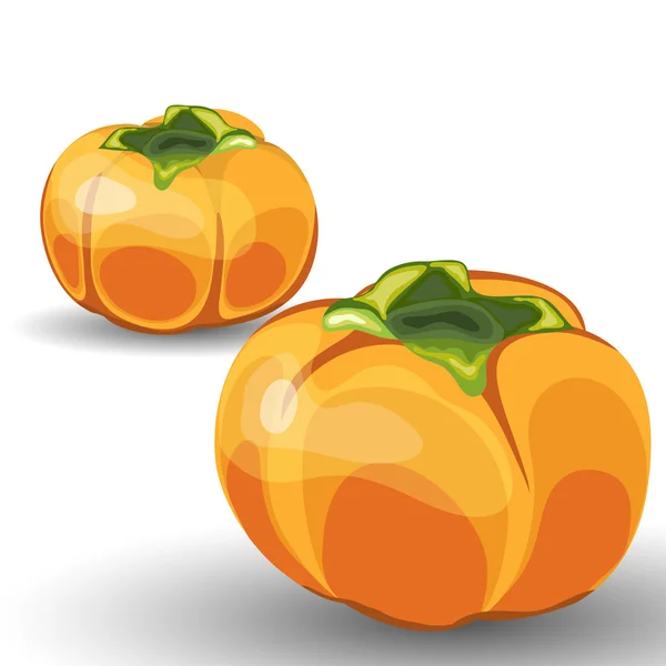 Glanzende oranje pompoenen — Stockvector