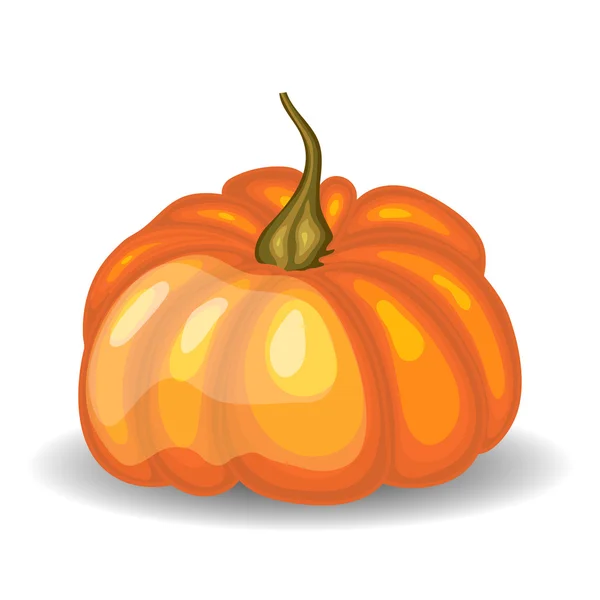 Calabaza naranja brillante — Vector de stock