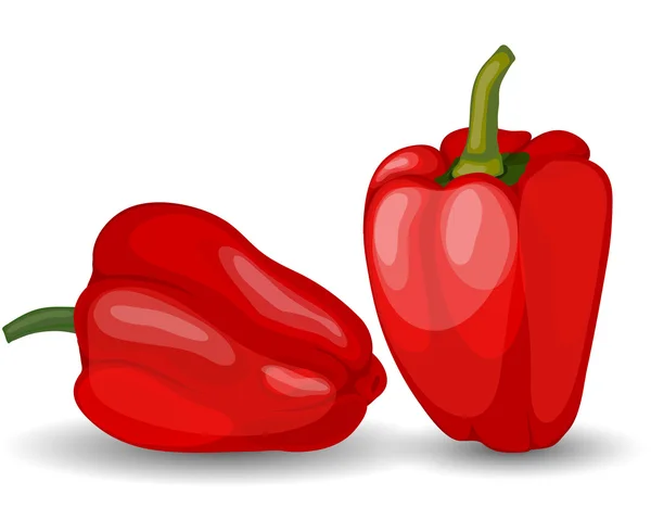 Dos pimientos rojos brillantes — Vector de stock