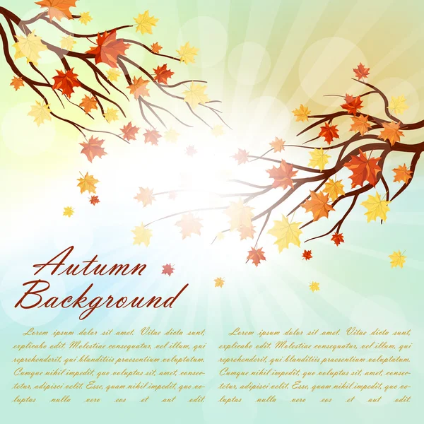 Herfst frame met esdoorn bladeren — Stockvector