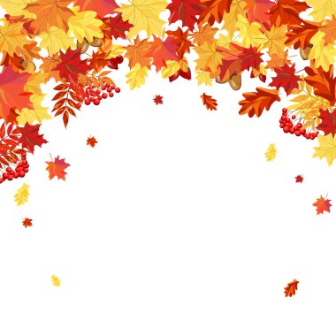 Frame With Maple, Rowan, Oak and Dog Rose Leaves and Berries