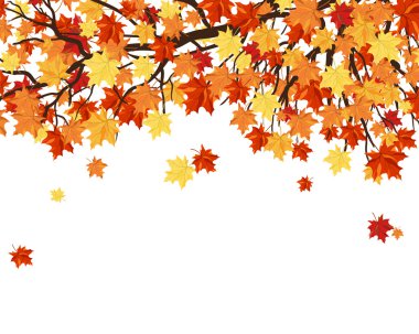 Frame With Maple Tree Branches and Leaves