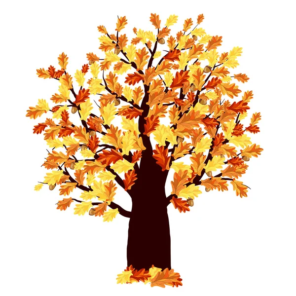 Autumn Oak Tree With Color Leaves — Stock Vector