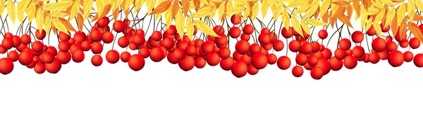 Banner  With Rowan Leaves and Berries — стоковий вектор