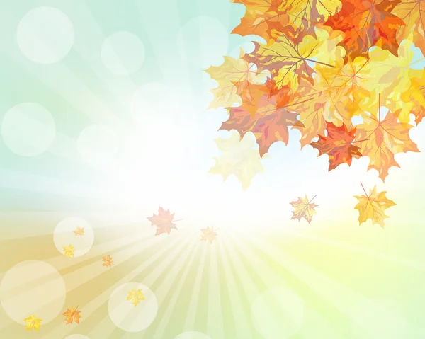 Quadro de outono com folhas de bordo caindo —  Vetores de Stock