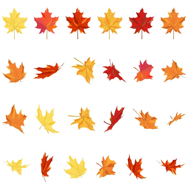 Maple Leaves Set — Stock Vector